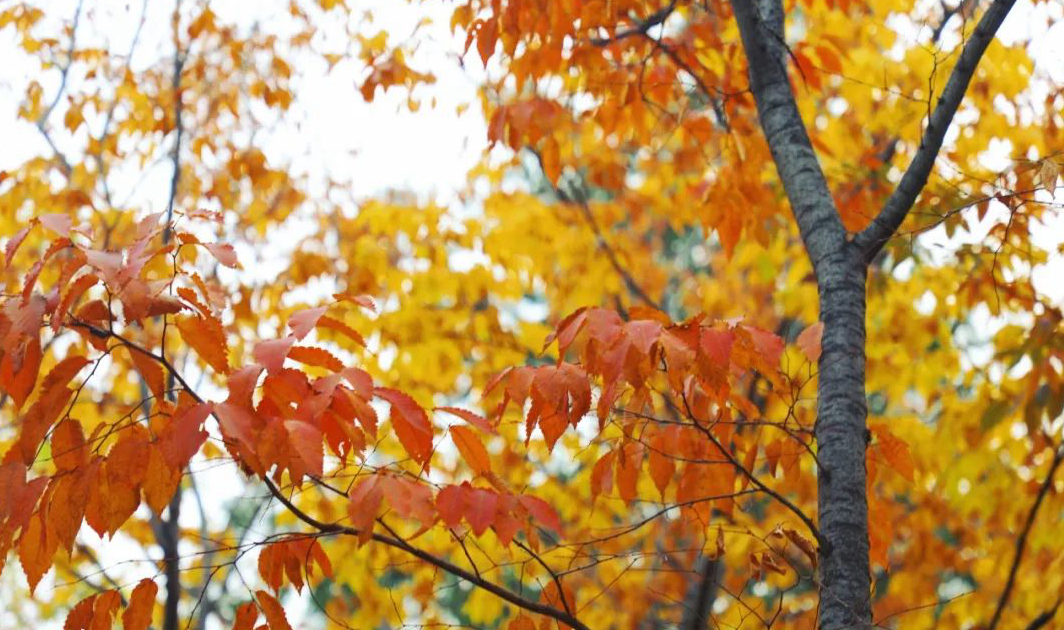 1676797303237504.jpg 微信圖片_20230115185231.jpg