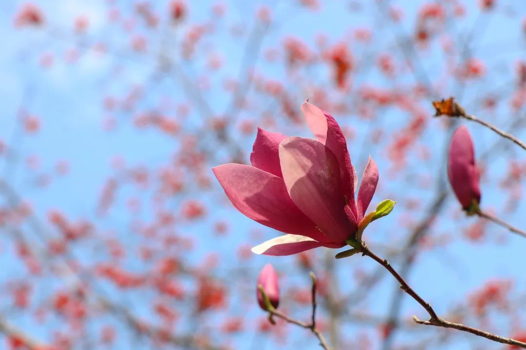 1676810648342682.jpg 微信圖片_20221125235203.jpg