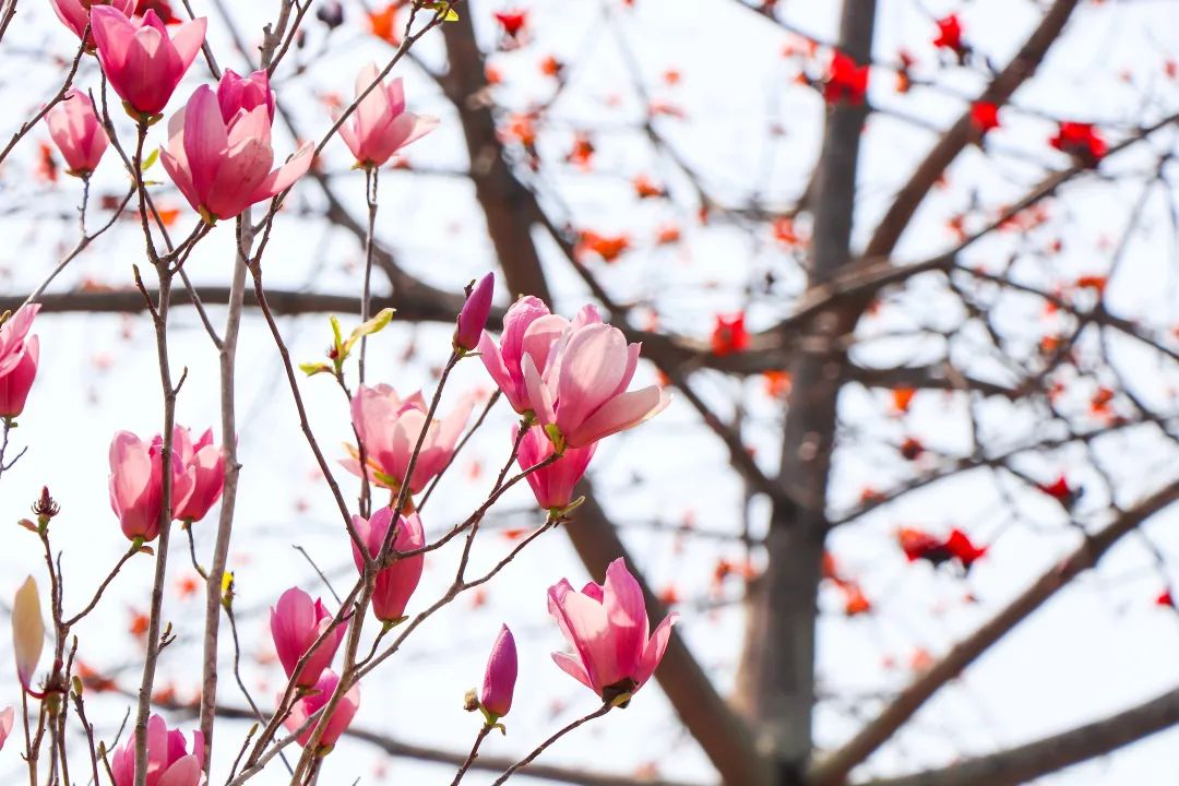 1676810673274612.jpg 微信圖片_20221125235219.jpg