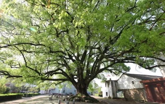 1676893288424072.jpg 微信圖片_20230220193859.jpg