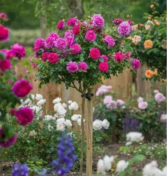 1676893734236122.jpg 微信圖片_20230211070248.jpg