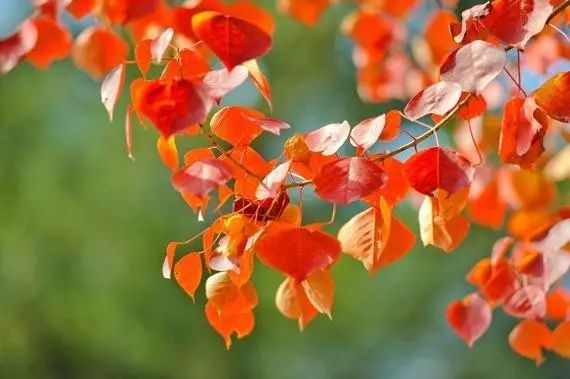 1676894255371845.jpg 微信圖片_20221101145530.jpg