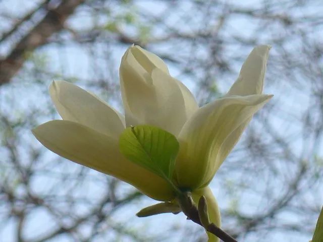 1676894696491035.jpg 微信圖片_20230113055150.jpg