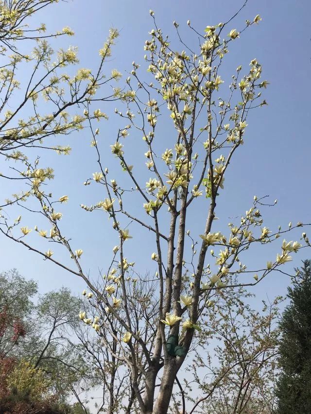 1676894702629914.jpg 微信圖片_20230113055156.jpg