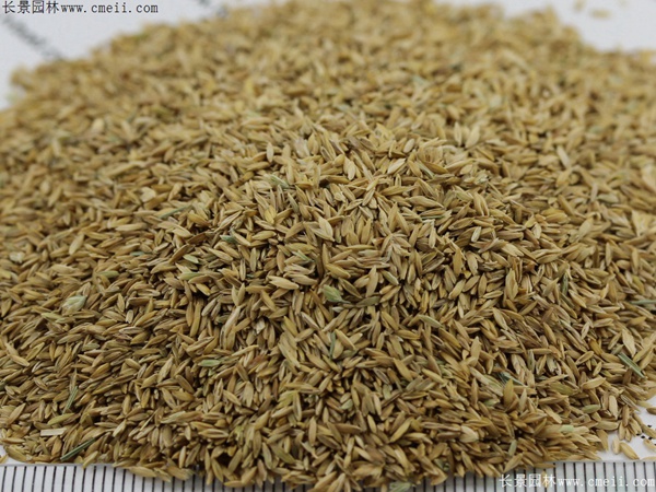 1712371428995228.jpg 1-1F4301J31X96.jpg